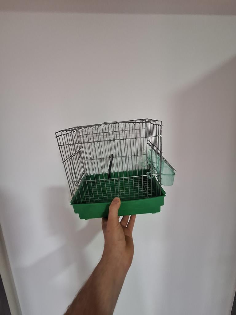 cage oiseaux