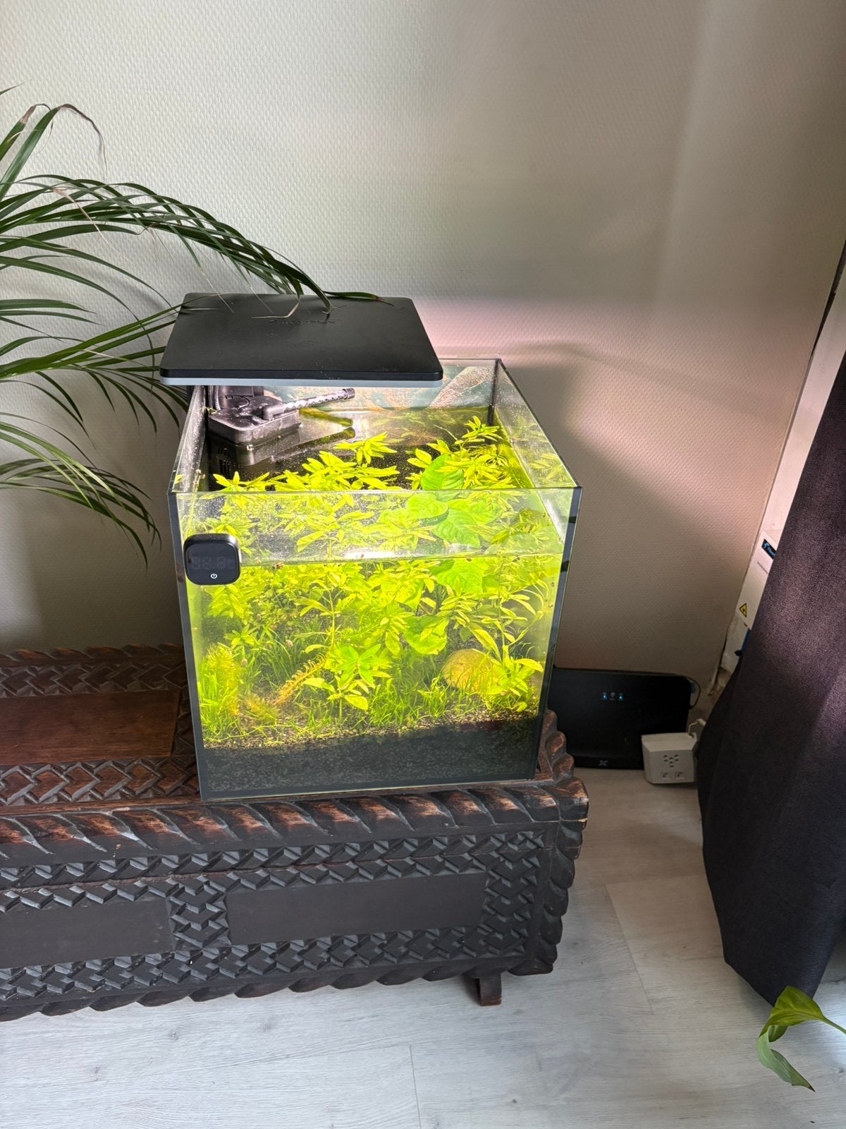 Qubiq 30 superfish aquarium, Dieren en Toebehoren, Ophalen, Zo goed als nieuw, Filter, Superfish