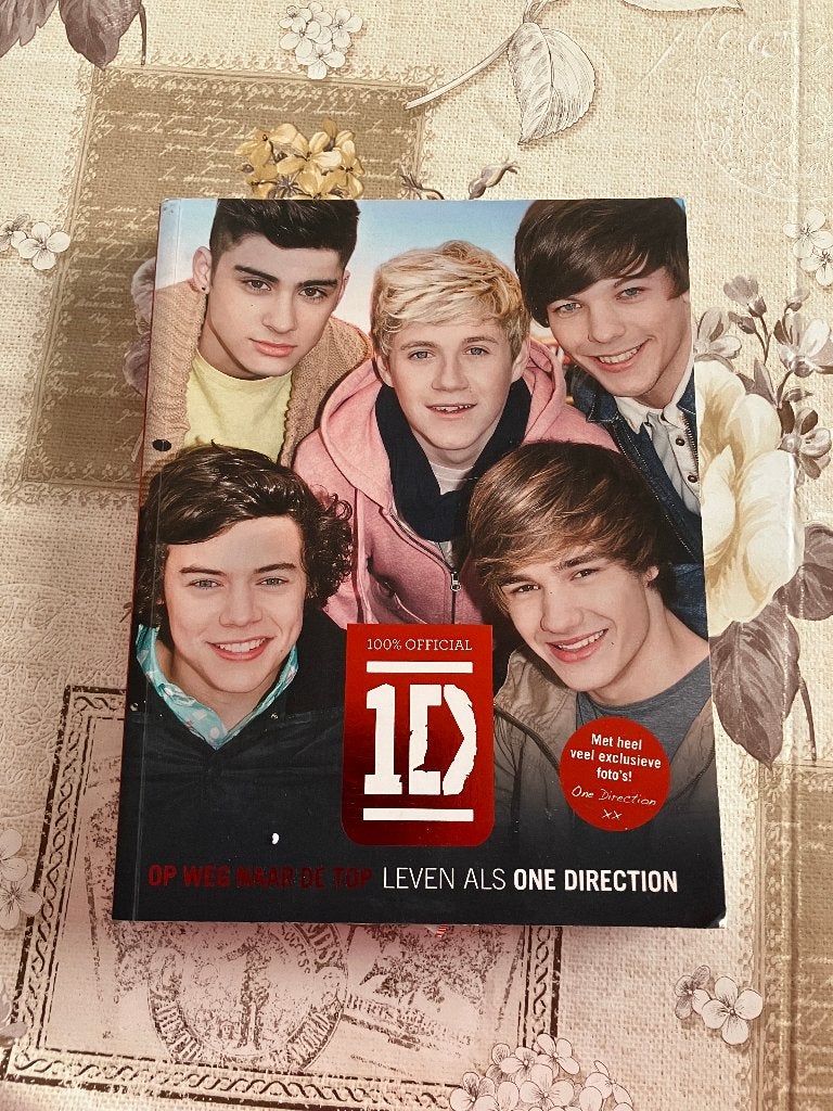 Boek - Dare to Dream Life as One Direction, Boeken, Ophalen of Verzenden