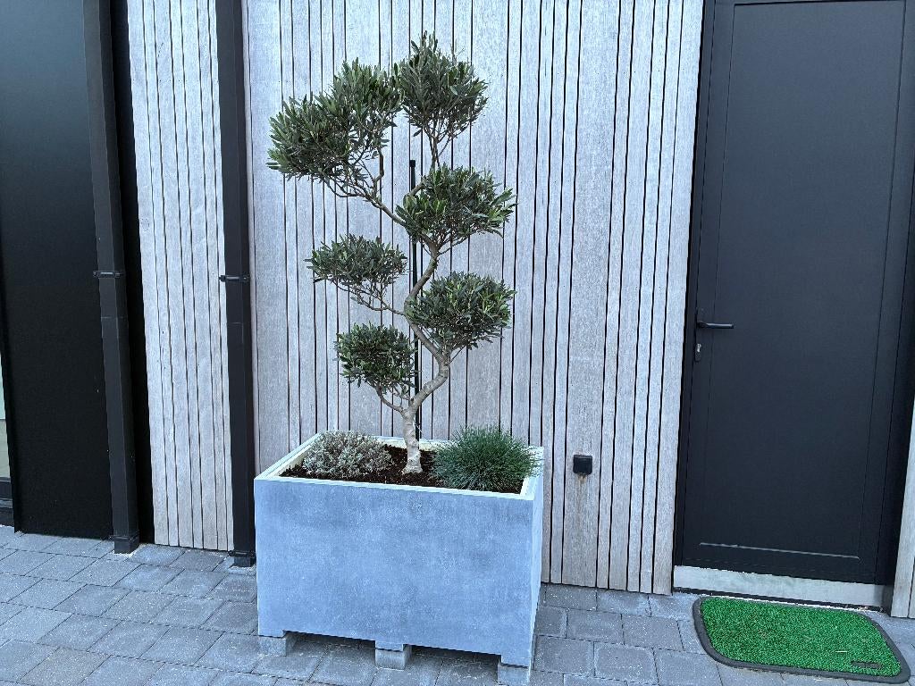 blauwsteen (arduin ) bloembak, Tuin en Terras, Ophalen