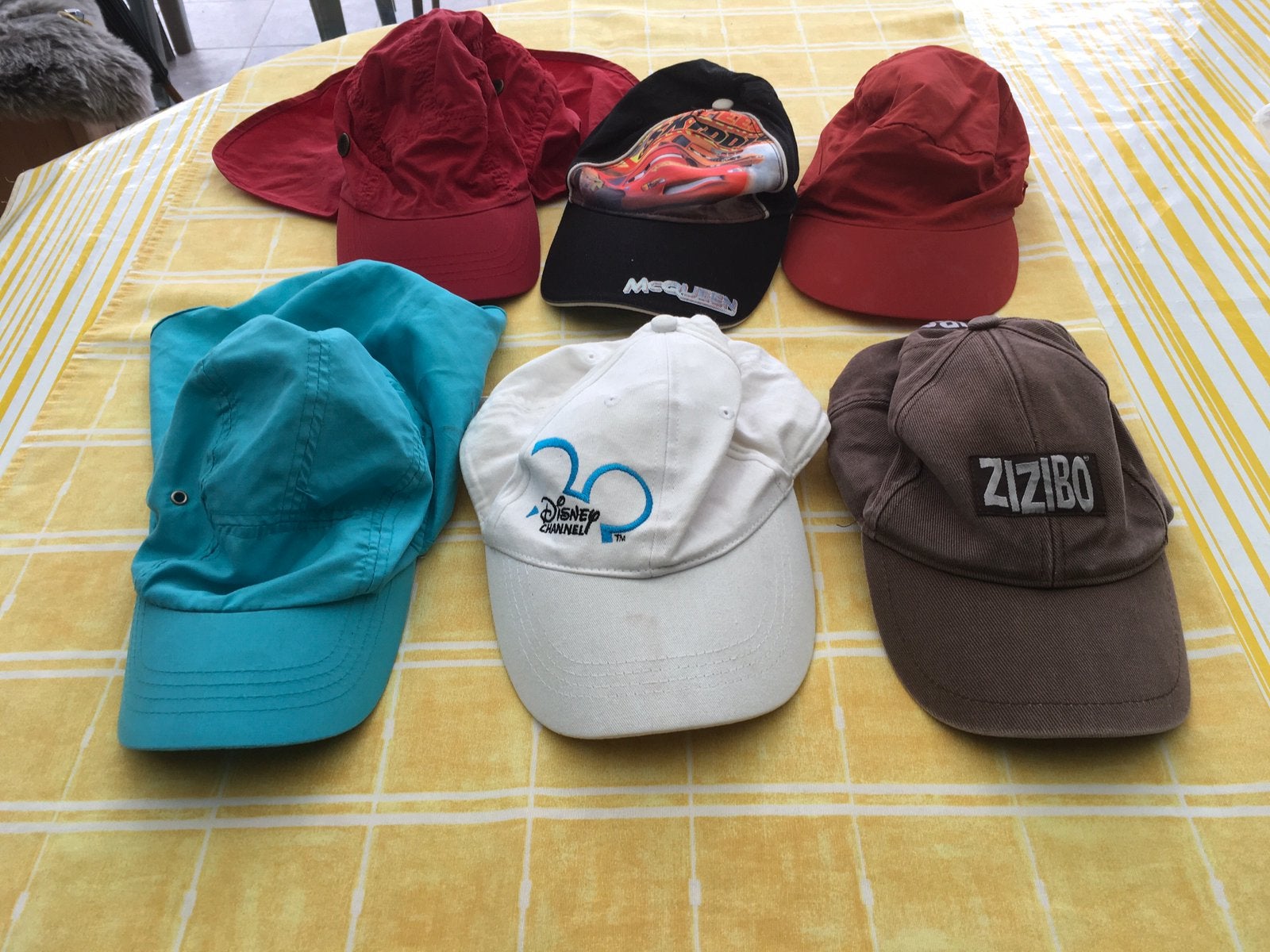 Petten, Ophalen, Pet