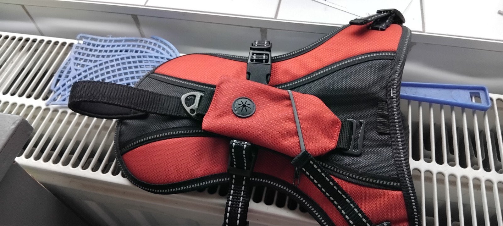 nouveau harnais pour mini teckel, Enlèvement, Lumineux, Neuf