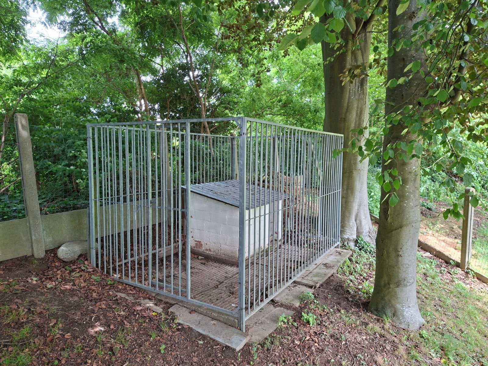 Hondenren  -  kennel, Dieren en Toebehoren, Ophalen