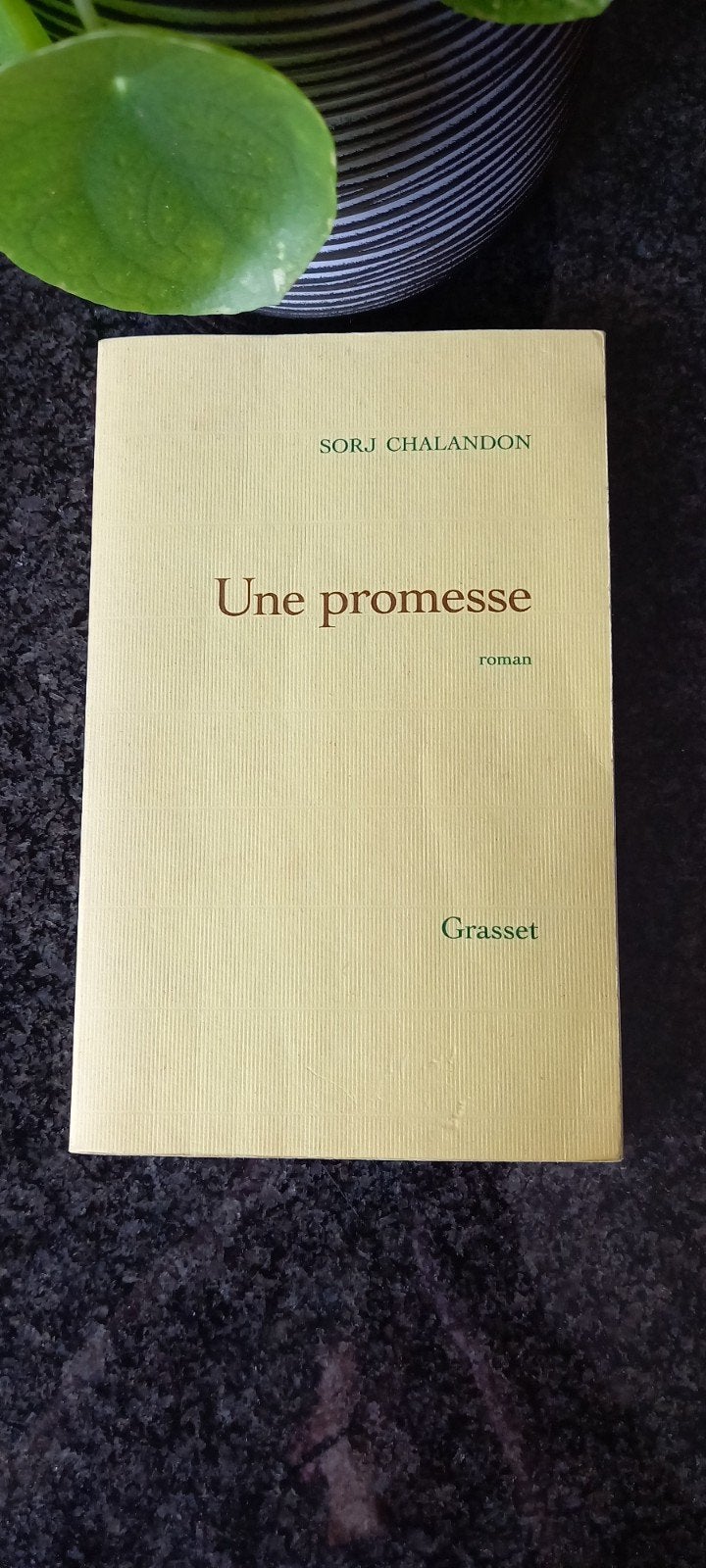 Une promesse, Enlèvement ou Envoi, Utilisé, Sorj Chalandon