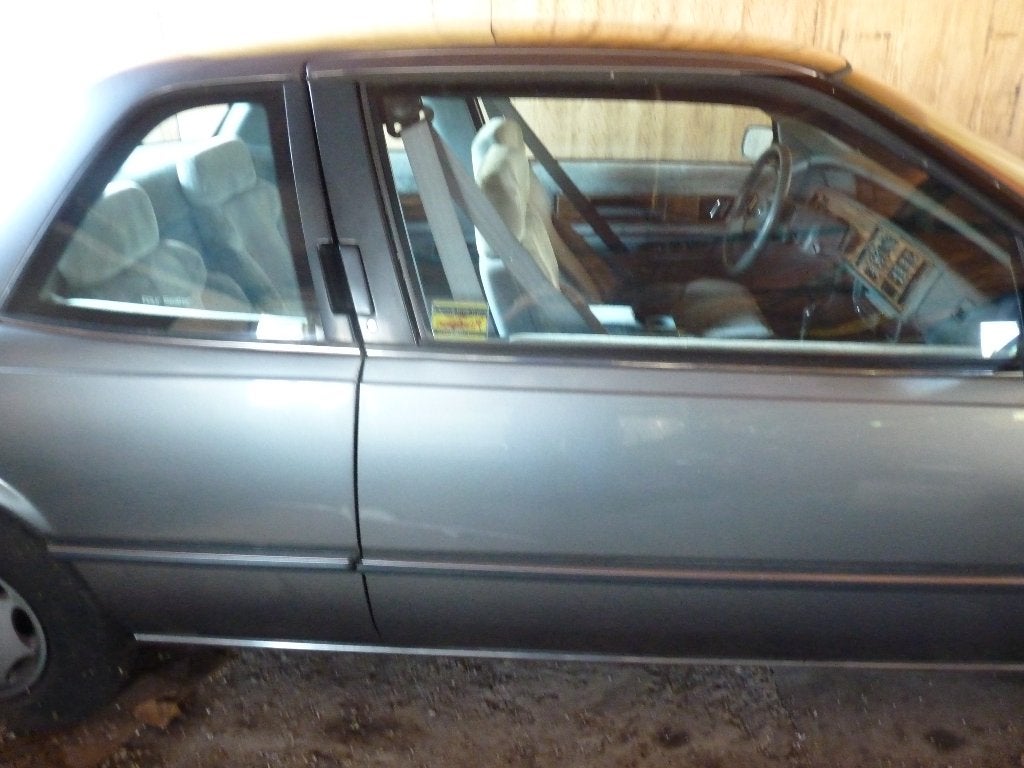 auto, Argent ou Gris, Achat, Regal, 2 portes