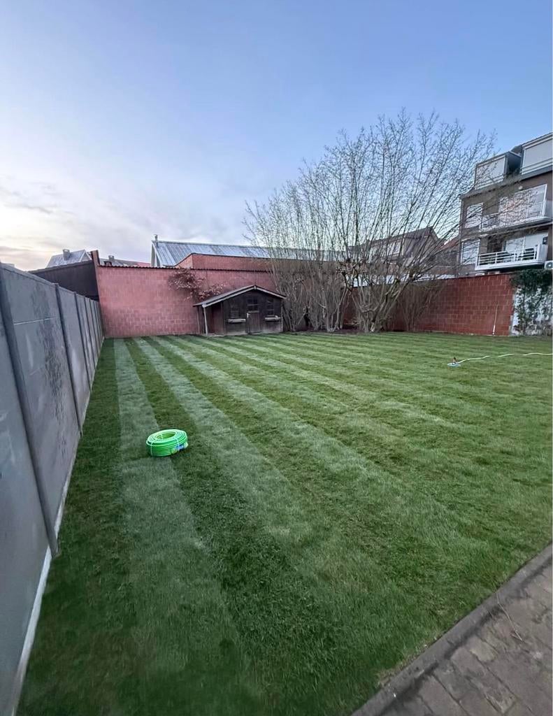 Pose de gazon en rouleau – Pelouse instantanée !, Enlèvement ou Envoi, Comme neuf