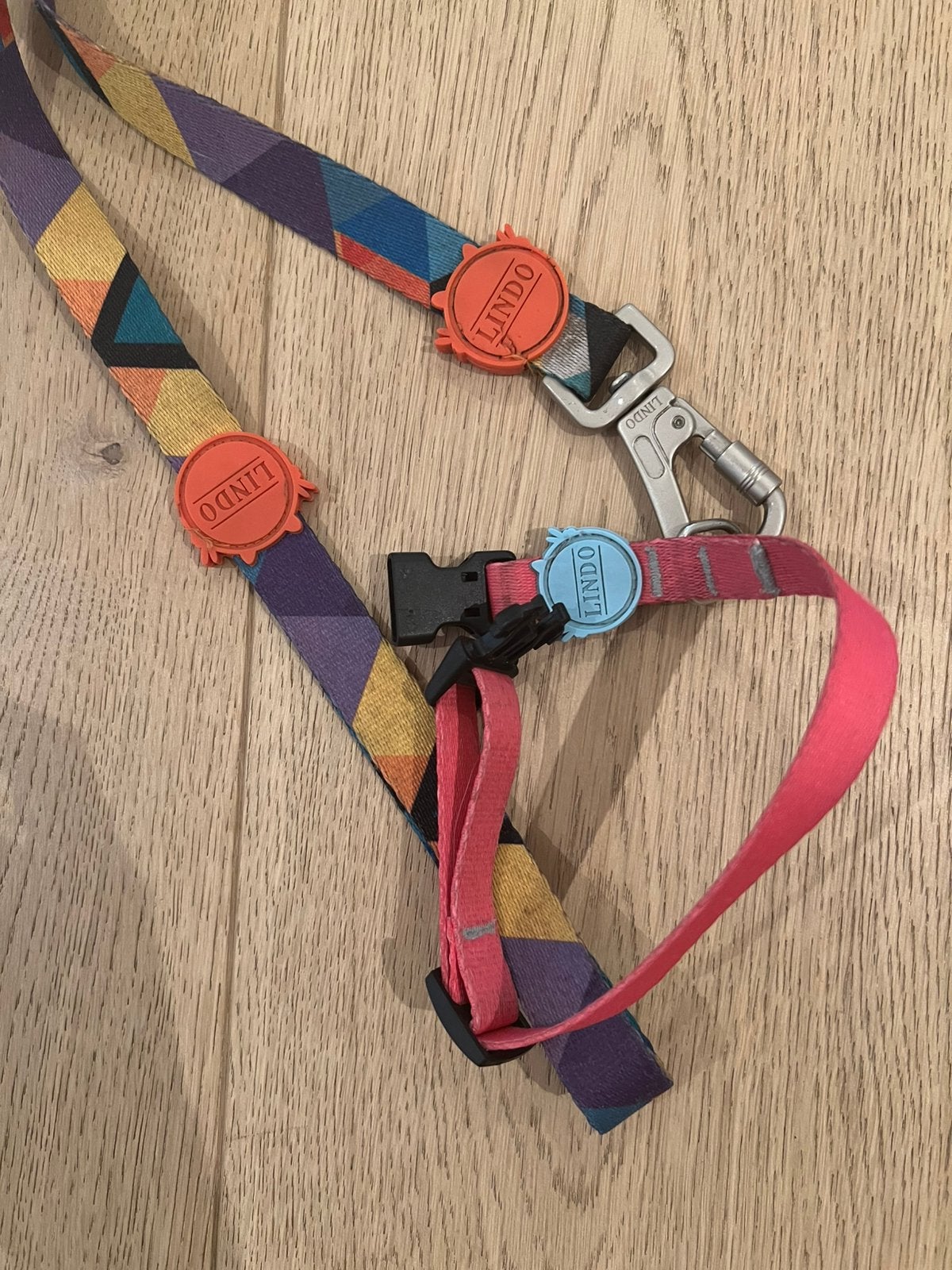 Harnais pour chien Lindo avec laisse — coloré, Animaux & Accessoires, Enlèvement, Comme neuf