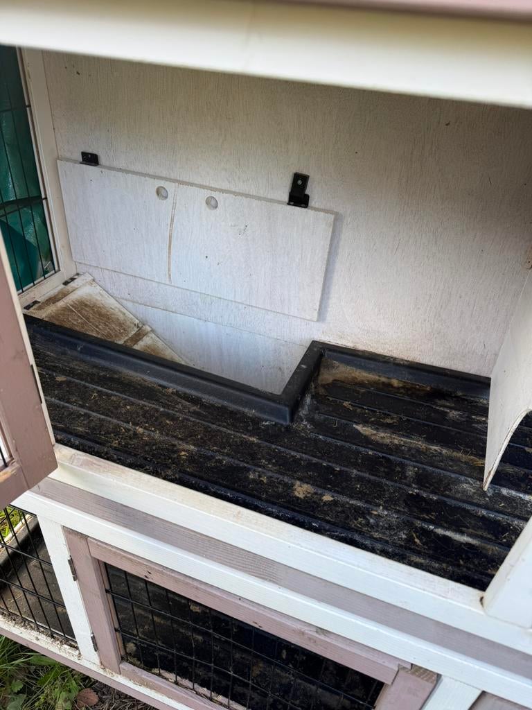 Caviaflat of konijnen, Dieren en Toebehoren, Ophalen, Zo goed als nieuw, Cavia