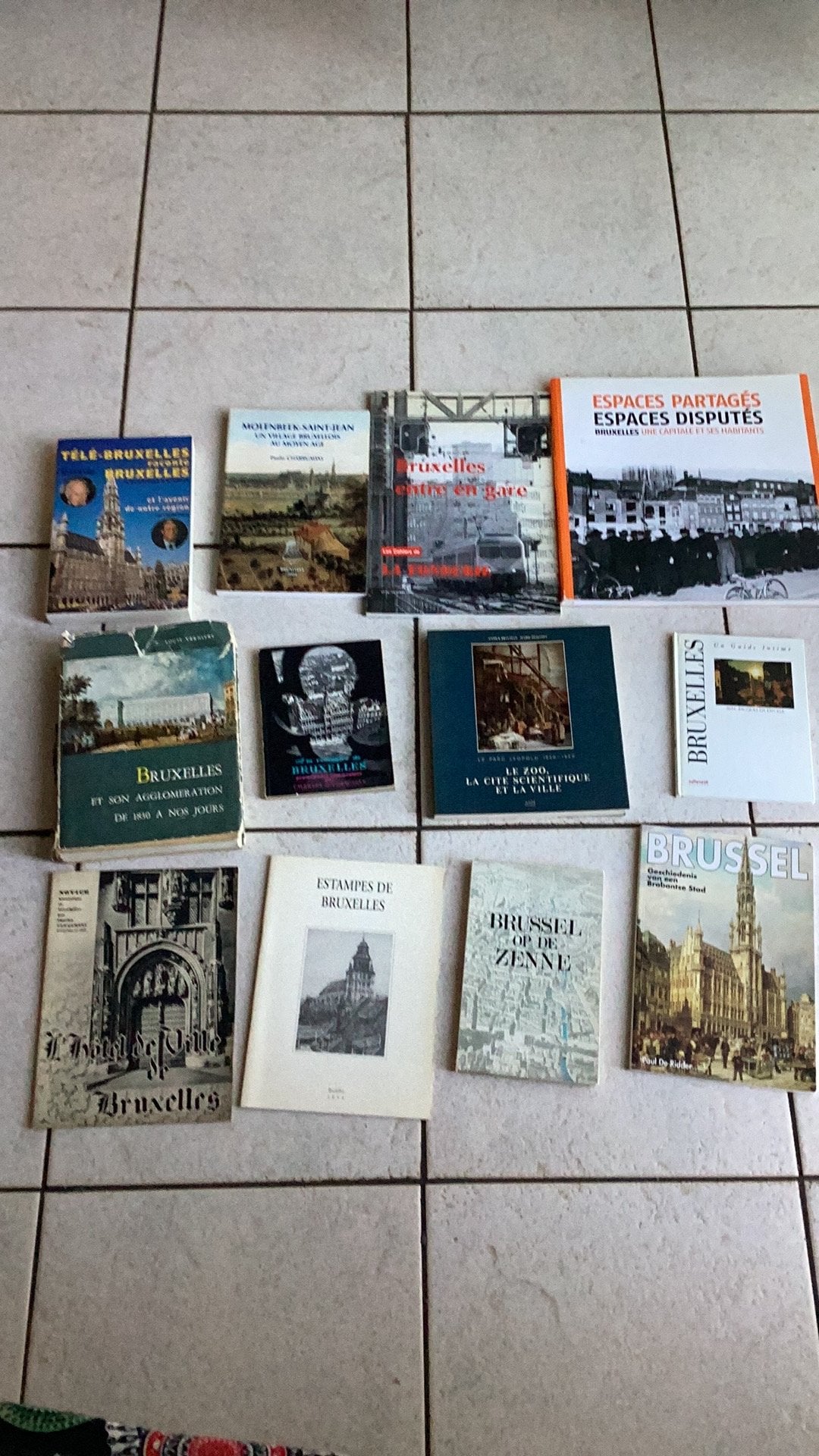Schitterende set boeken over Brussel, Gelezen, 19e eeuw, Ophalen of Verzenden, COLLECTIF
