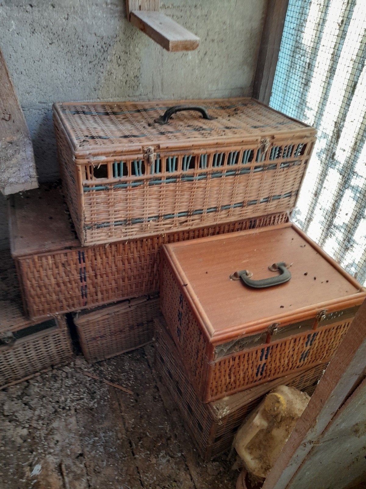 6 paniers à pigeons, Animaux & Accessoires, Oiseaux | Pigeons