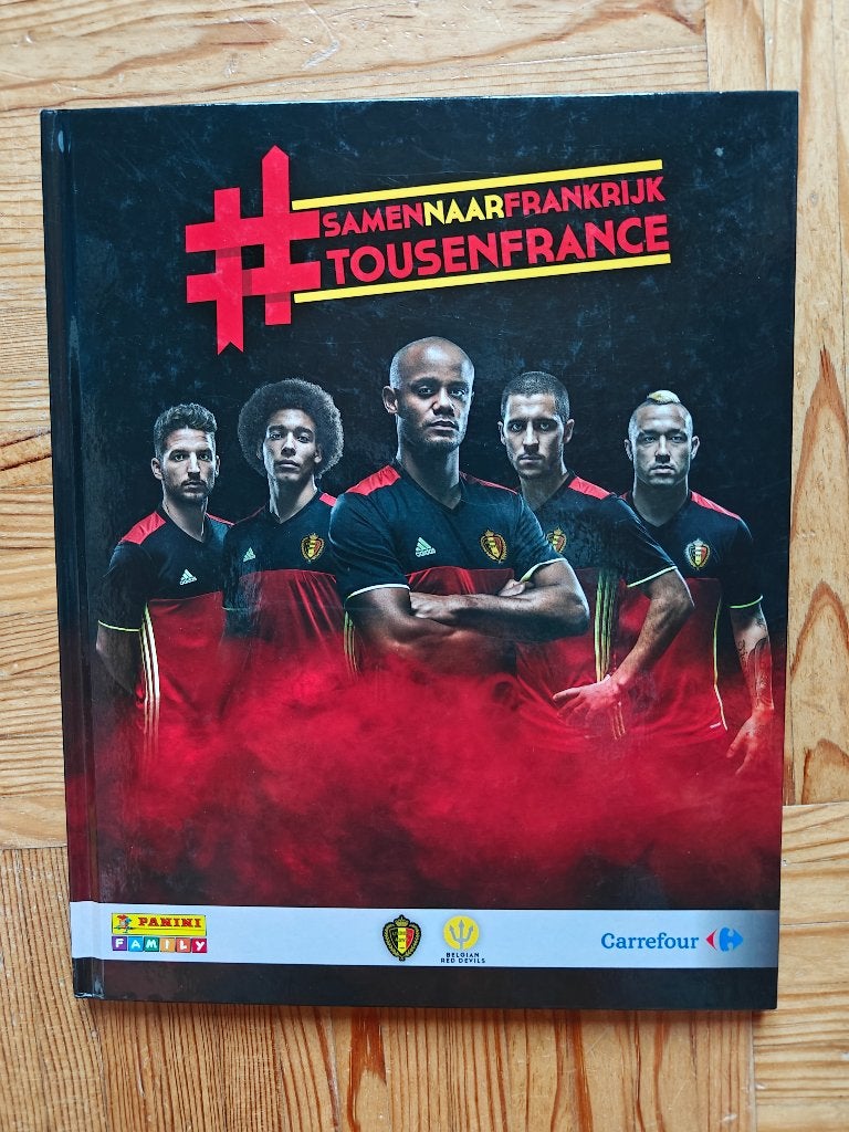 Samen naar Frankrijk 2016, Ophalen of Verzenden, Gebruikt, Poster, Plaatje of Sticker