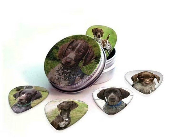 Blikje + plectrums afbeelding Duitse Korthaar Pointer hond, Ophalen of Verzenden, Nieuw