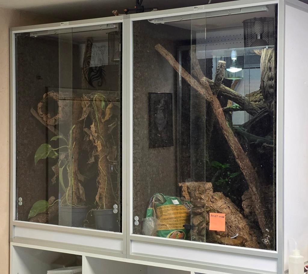 x2 Terrarium 80x60x120, Enlèvement ou Envoi, Utilisé, Terrarium ou Paludarium
