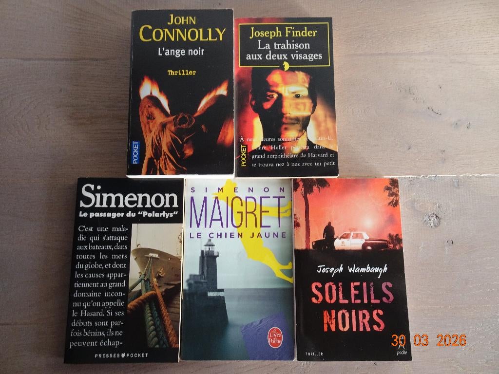 Divers polar - format poche, Livres, Romans, Utilisé, Enlèvement