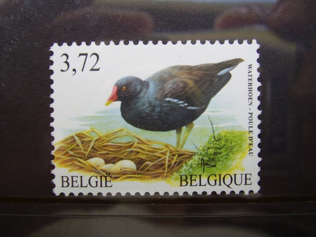 3212 postfris - Waterhoen, Ophalen of Verzenden, Postfris