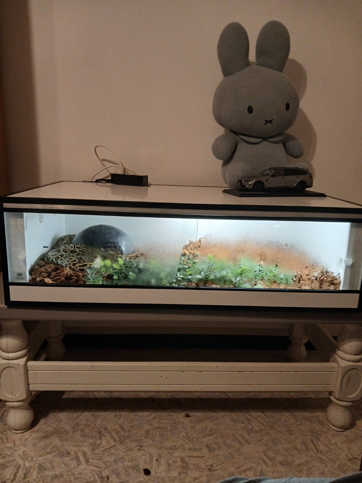 Python met terrarium, Ophalen