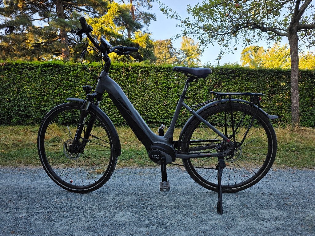 Elektrische fiets Lombardo, Bosch Active Line Plus motor, Ophalen