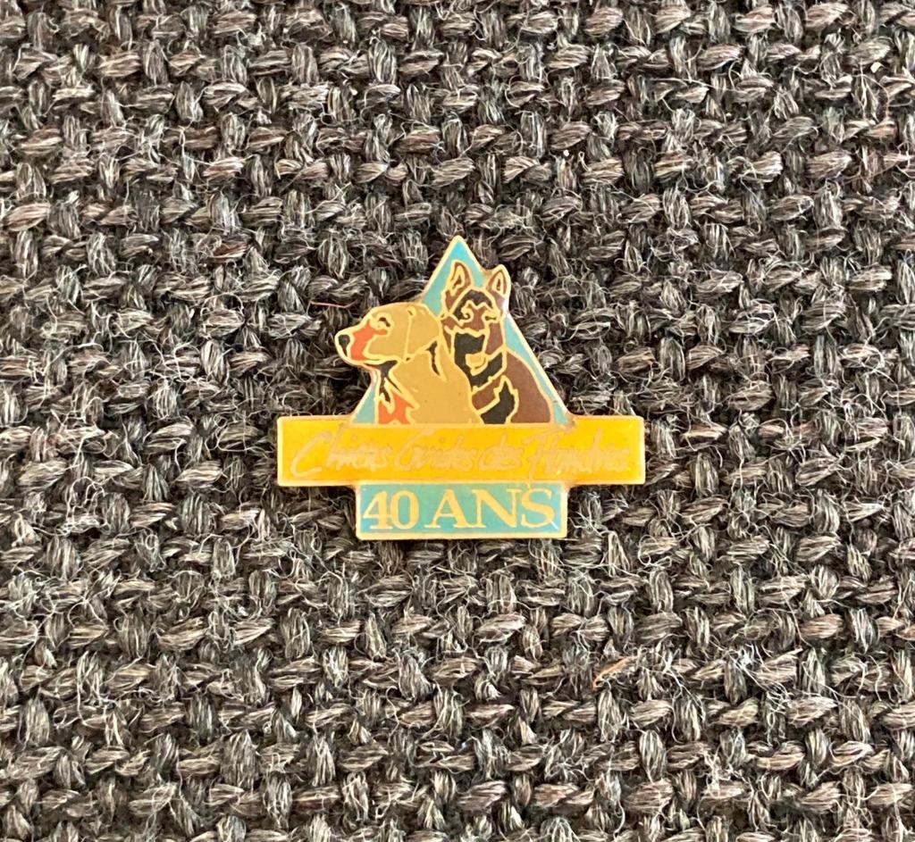 PIN - CHIENS GUIDES DES FLANDRES - HOND - CHIEN - DOG, Collections, Envoi, Utilisé, Animal et Nature, Insigne ou Pin's