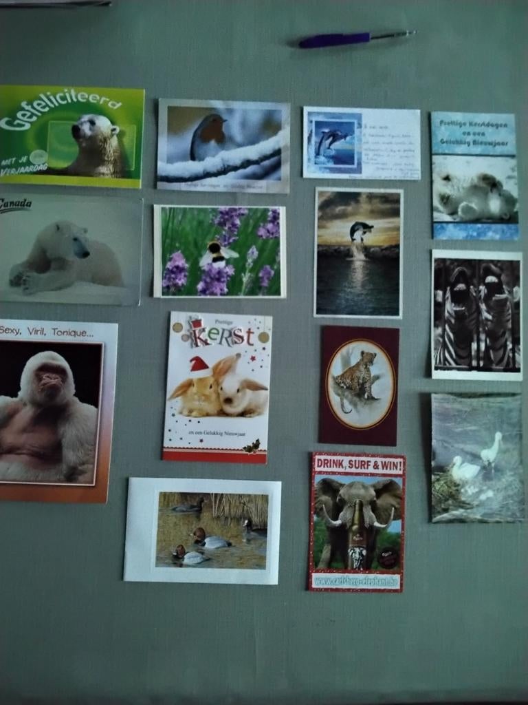 Ansichtkaarten van verschillende dieren, vissen, ... (14), Verzamelen, Postkaarten | Dieren, Ophalen of Verzenden, 1980 tot heden