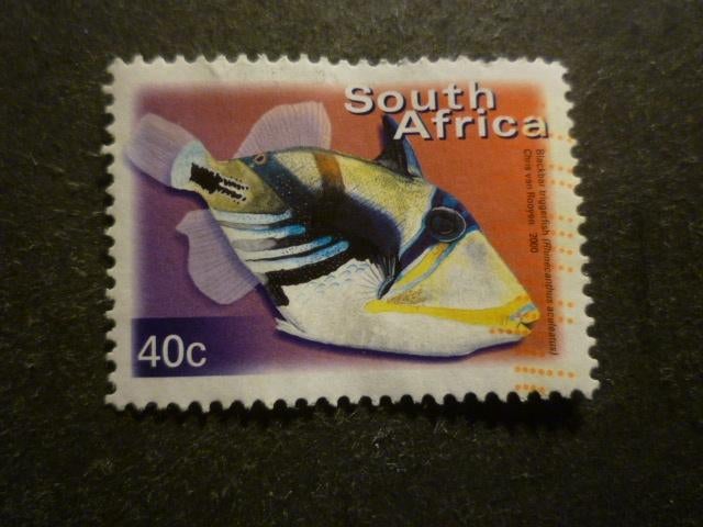 Zuid-Afrika/Afrique du Sud 2003 Mi 1289C(o), Envoi, Afrique du Sud