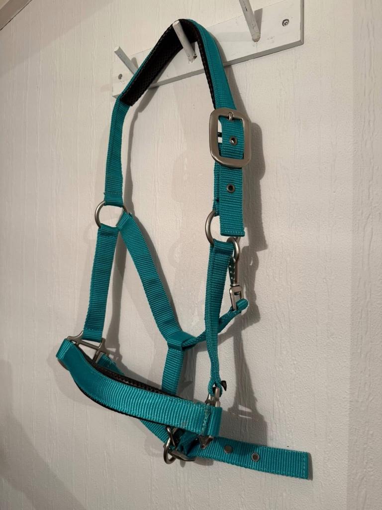 Halsters, Ophalen, Nieuw