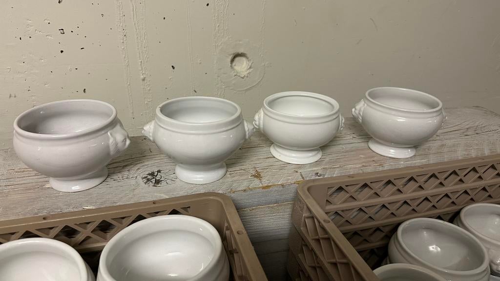 Leeuwenkoppen voor soep - 57 stuks, Ophalen