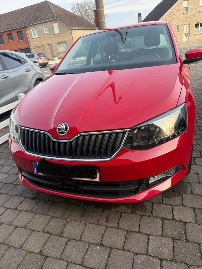 Skoda Fabia, Auto's, Stof, Particulier, Dealer onderhouden, USB