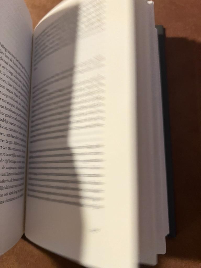 De bekeerlinge - Stefan Hertmans, Boeken, Ophalen of Verzenden, Zo goed als nieuw, Stefan Hertmans, Europa overig