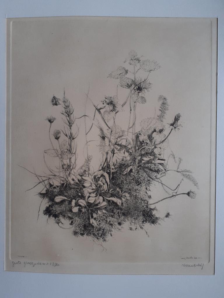 "Grote graszode" - Renaat Veris, Ophalen