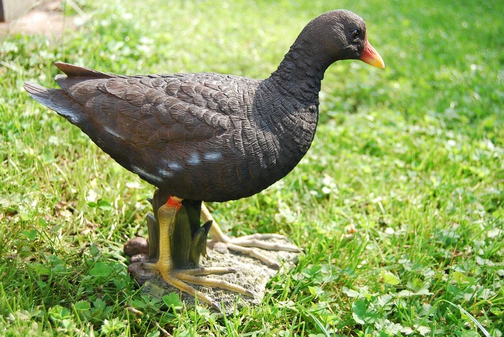Superbe poule d'eau en polyrésine de grande qualité, Enlèvement ou Envoi, Neuf, Animal