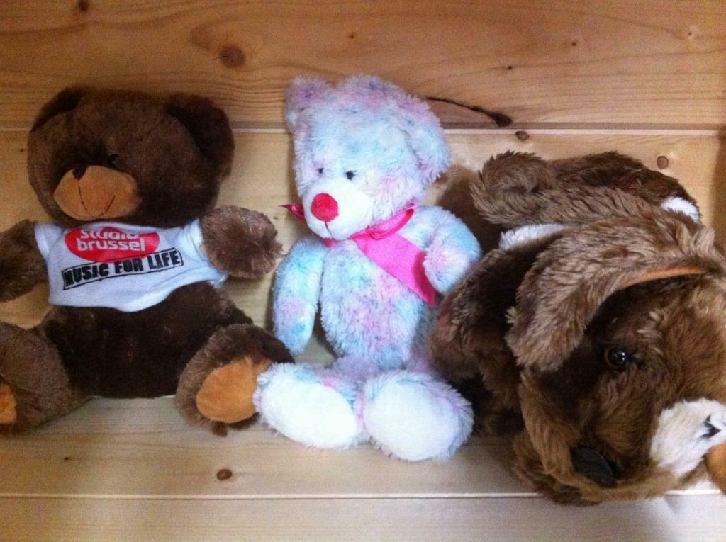 Knuffels en pluche dieren allerlei., Ophalen of Verzenden, Gebruikt