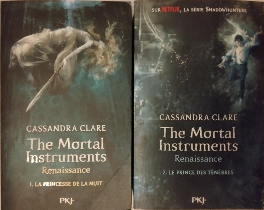 The Mortal Instruments livres en français, Enlèvement ou Envoi, Utilisé, Cassandra Clare