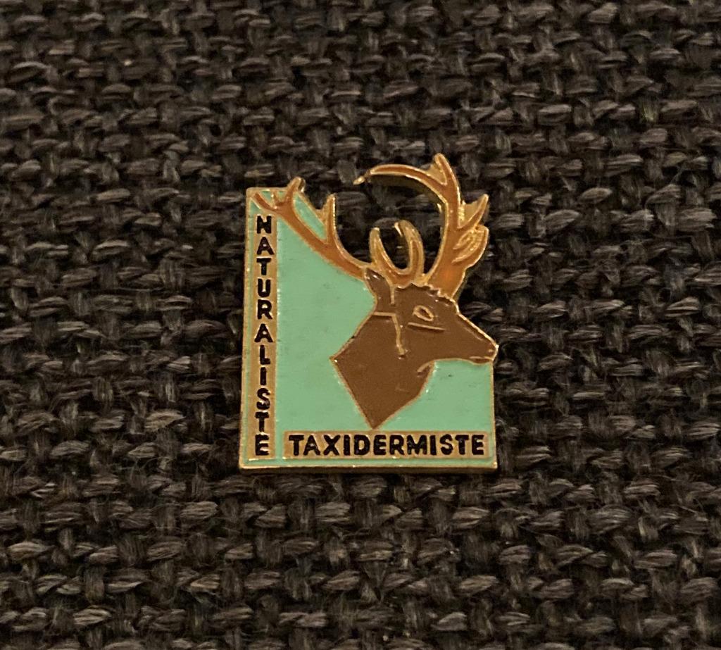 PIN - NATURALISTE - TAXIDERMISTE - CERF - HERT - DEER, Envoi, Utilisé, Animal et Nature, Insigne ou Pin's