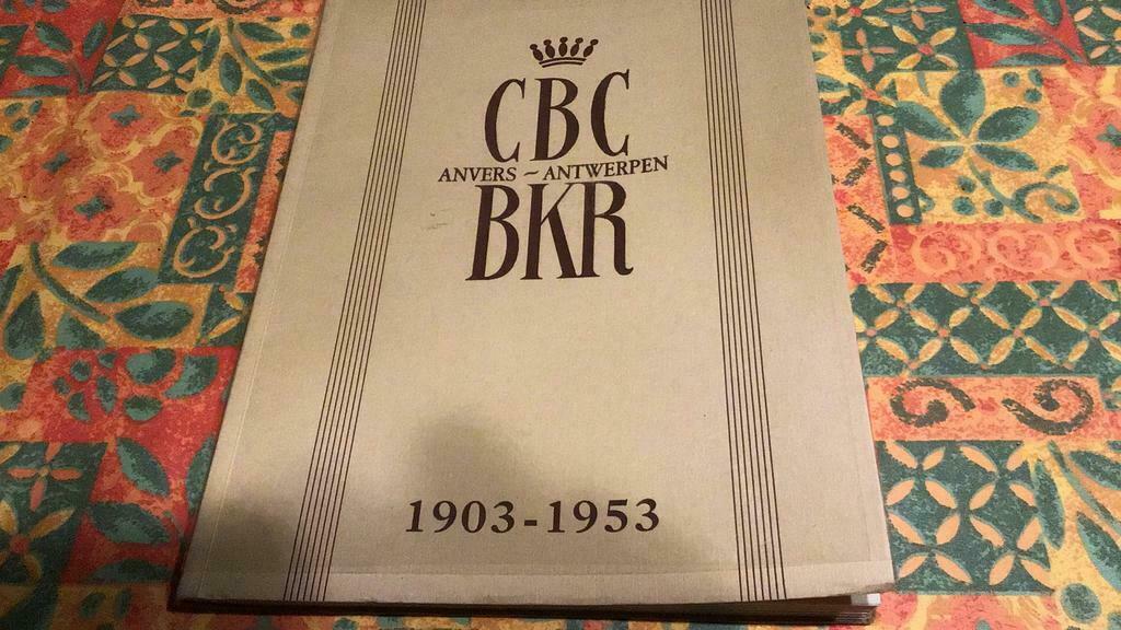 BKR Antwerpen gedenkboek (£), Boeken, Geschiedenis | Stad en Regio, Ophalen of Verzenden, Zo goed als nieuw