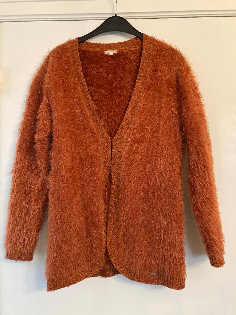 Roest-oranje gilet - PTC - maat XL, Maat 46/48 (XL) of groter, Oranje, Ophalen of Verzenden, Gedragen