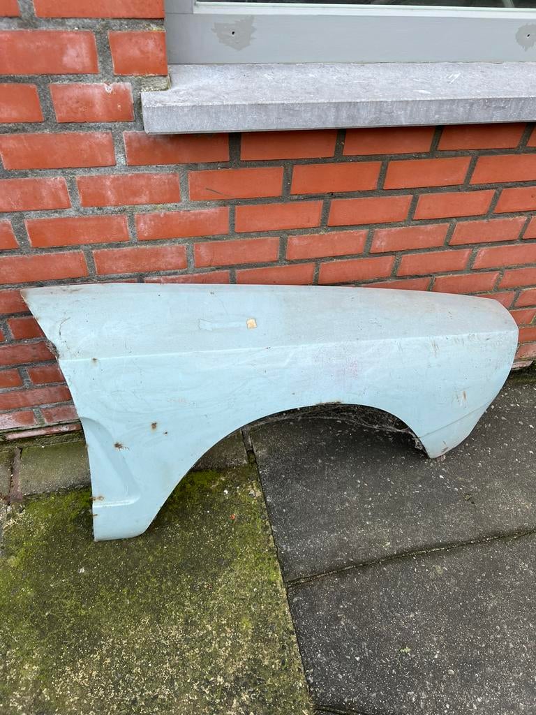 Voorspatbord Citroën Ami, Auto-onderdelen, Carrosserie, Ophalen, Gebruikt, Citroën, Spatbord
