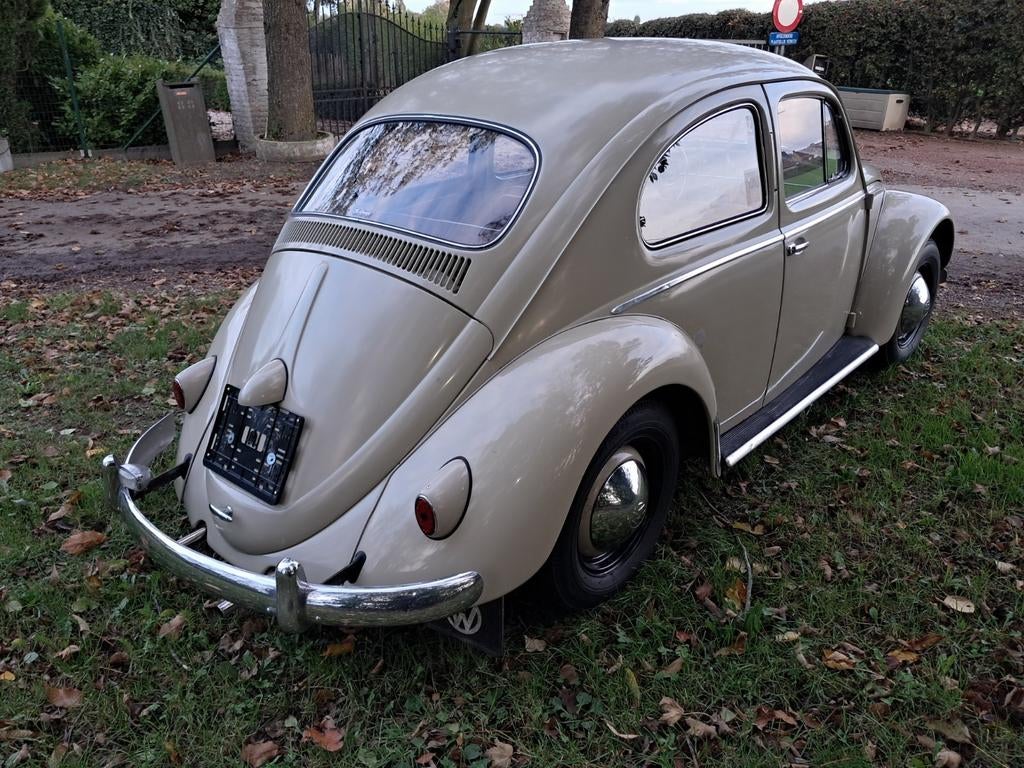 Vw kever '59, foto 4