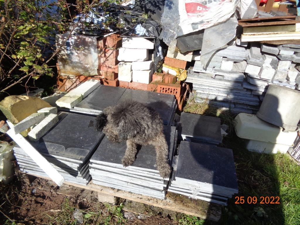 carrelage petit granit de Soignies, Bricolage & Construction, Neuf, 20 à 40 cm, Carrelage de sol, Enlèvement