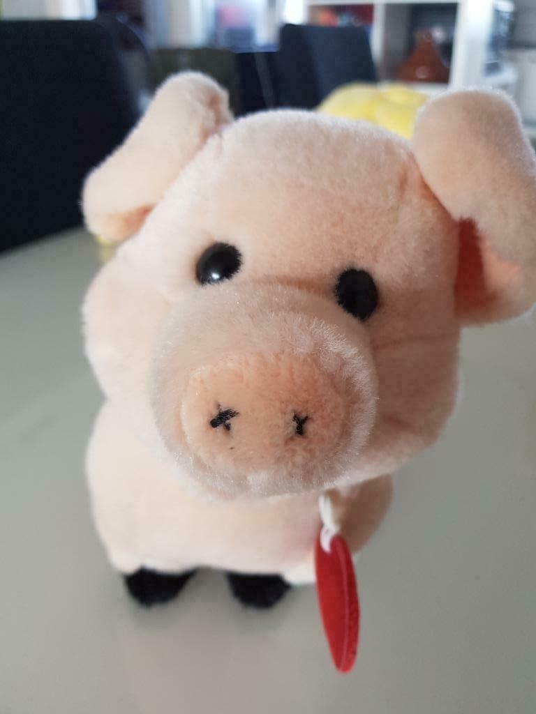 Jouet en peluche en forme de sanglier Trudi, Enlèvement ou Envoi