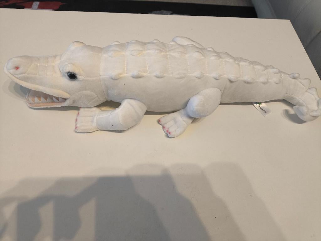 Alligator Pop Albino, Ophalen of Verzenden, Nieuw, Pop