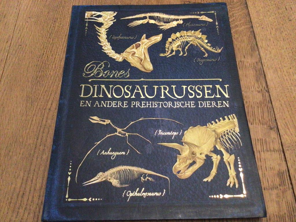 Bones dinosaurussen - licht beschadigd zie laatste foto’s !!, Enlèvement, Utilisé