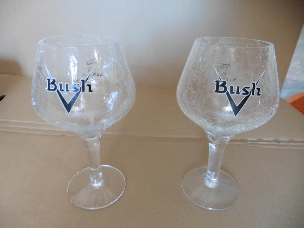 Bush glazen (mooie uitvoering), Verzamelen, Ophalen of Verzenden, Zo goed als nieuw, Bierglas