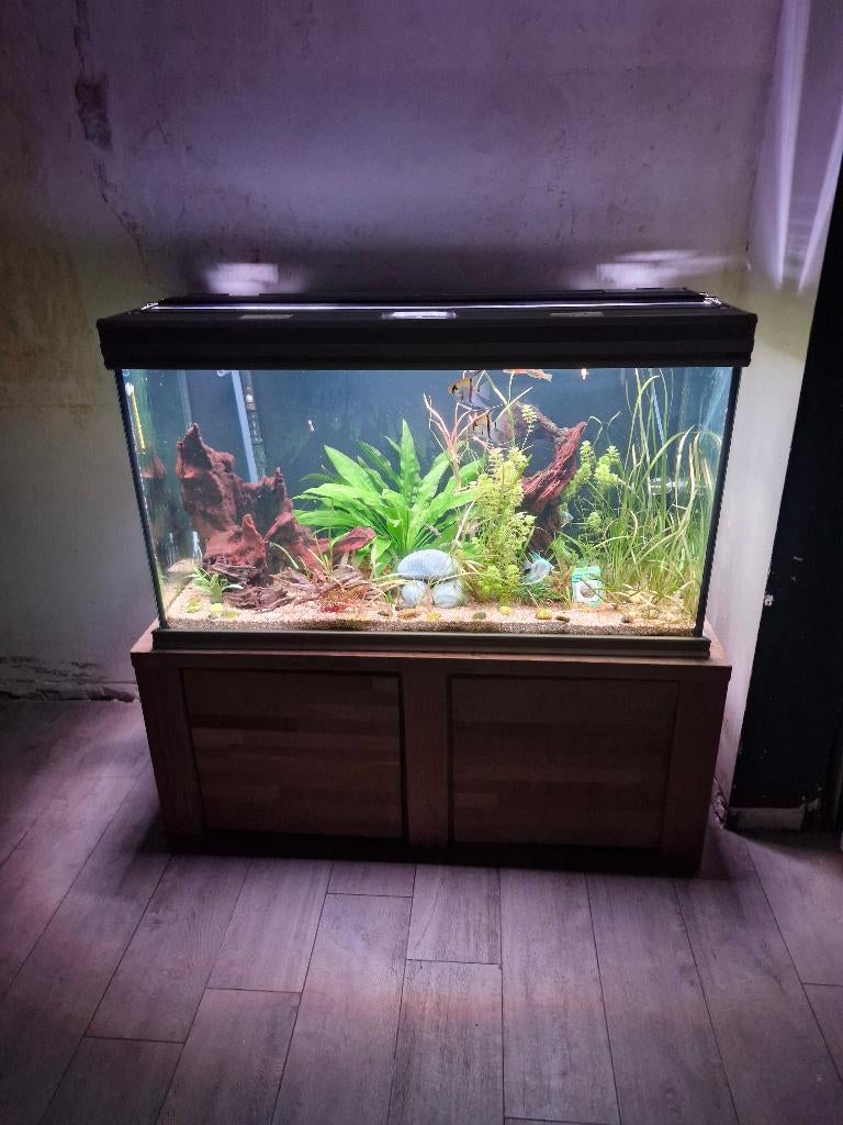 Mooie Aquarium, Dieren en Toebehoren, Vissen | Aquaria en Toebehoren, Ophalen, Gebruikt, Gevuld zoetwateraquarium