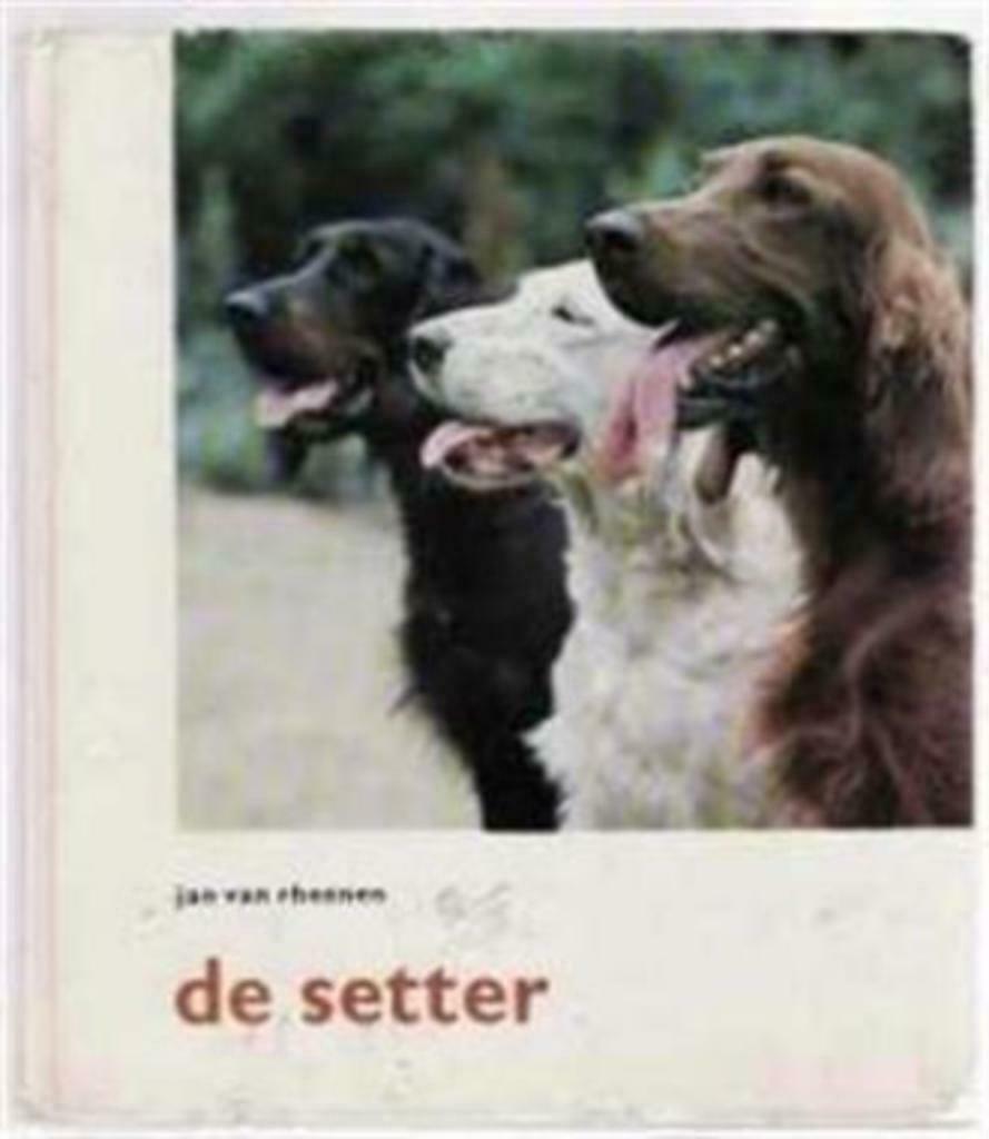 De Setter, Jan Van Rheenen, Enlèvement ou Envoi, Utilisé, Chiens