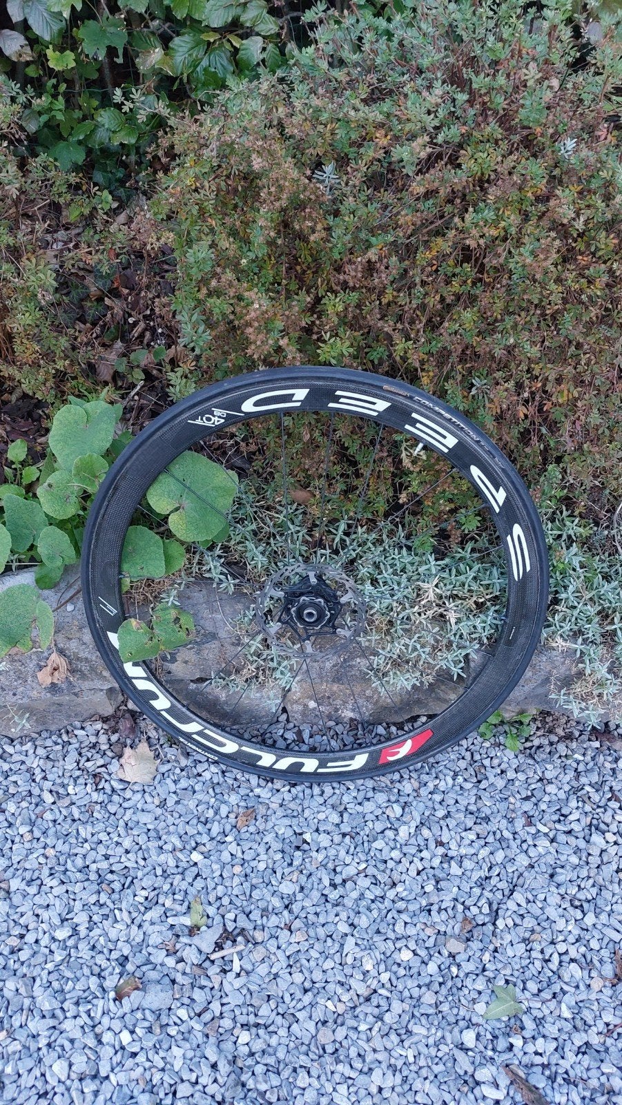 Roue avant à disque carbone à boyau - Fulcrum, Enlèvement, Roue, Carbone