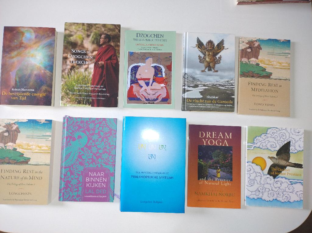 Boeddhisme, Dzogchen, Mahamudra etc., Livres, Enlèvement ou Envoi, Comme neuf