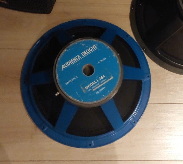 Audience delight l184 18 inch woofer, Ophalen, Nieuw, Subwoofer