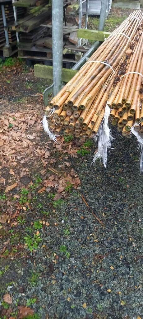 Bamboestokken L 250cm - diam. 2cm, Ophalen, Nieuw, 250 cm of meer, Overige typen