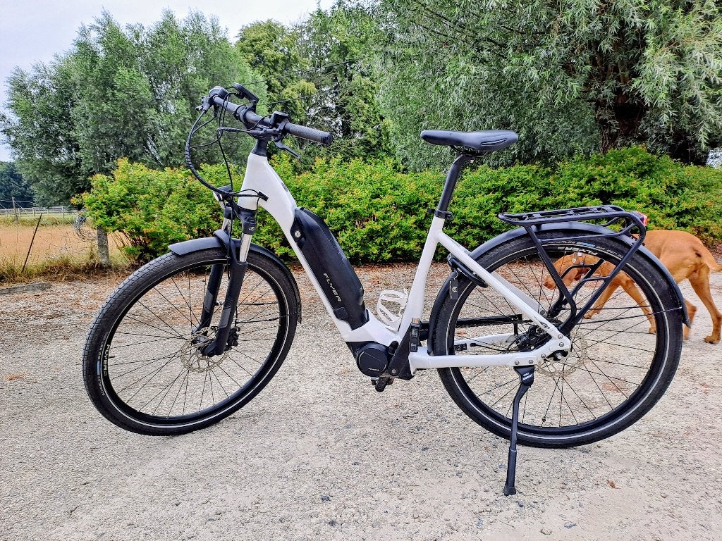 Electrische fiets Flyer, Fietsen en Brommers, Fietsen | Dames | Damesfietsen, Zo goed als nieuw, Schijfrem, Ophalen