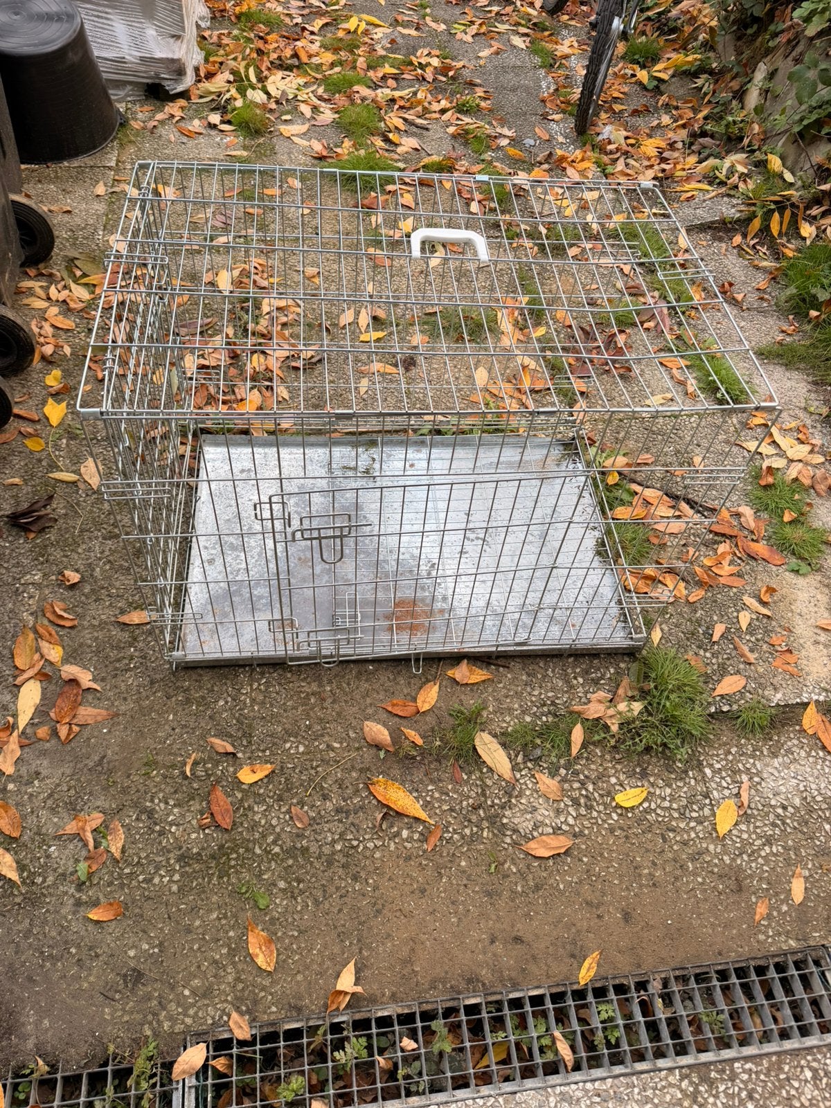 Cage pour chien en bon etat, Enlèvement, Utilisé